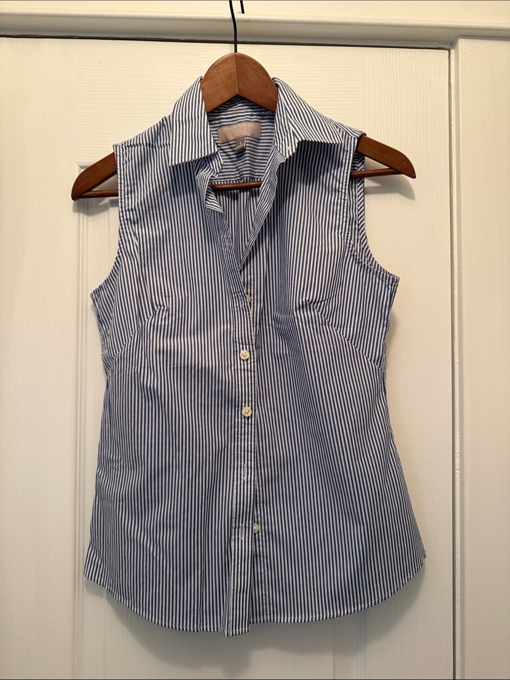Banana Republic Blue and White Striped Sleeveless Button-Down Shirt